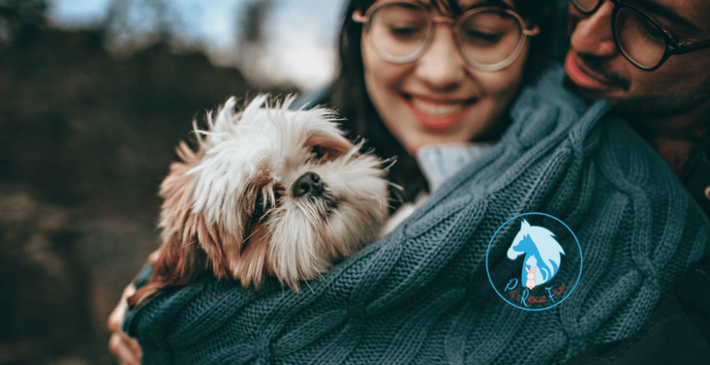 Bannière Pet's Rescue - chien dans les bras d'une femme