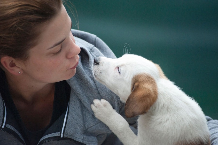 Femme avec un gilet gris qui fait un câlin à un chien blanc