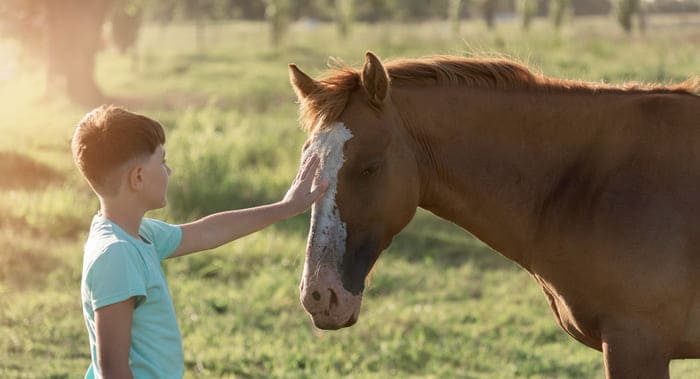 enfant qui caresse la tête d'un cheval