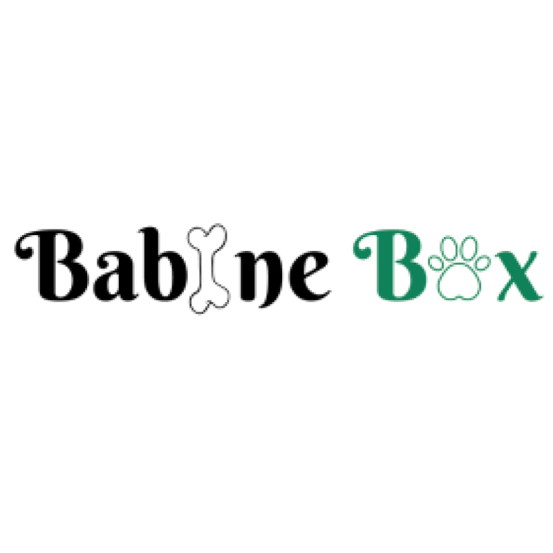 Logo Babine Box