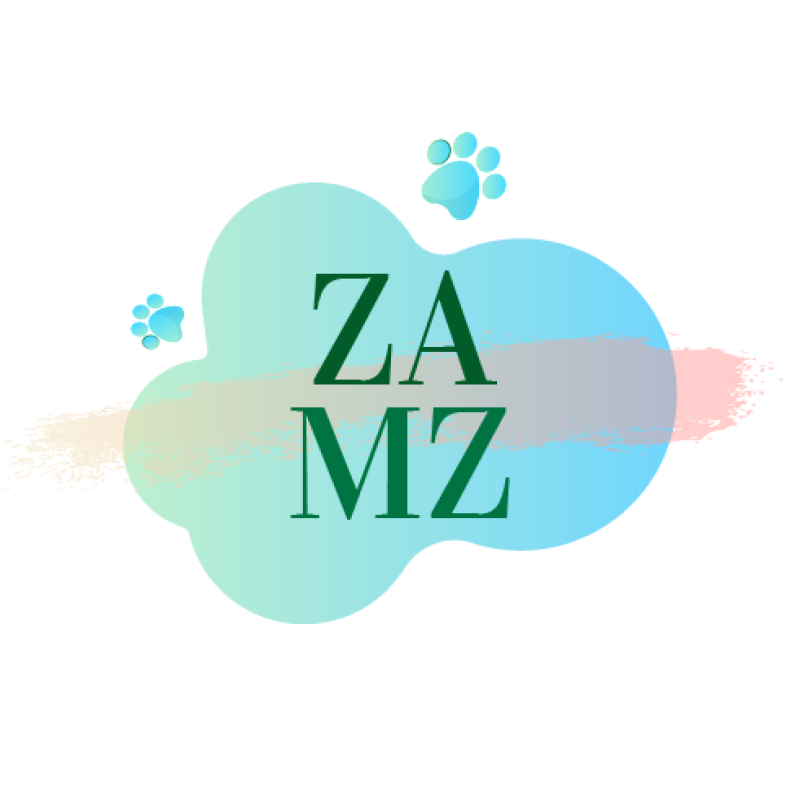 Logo Zamz