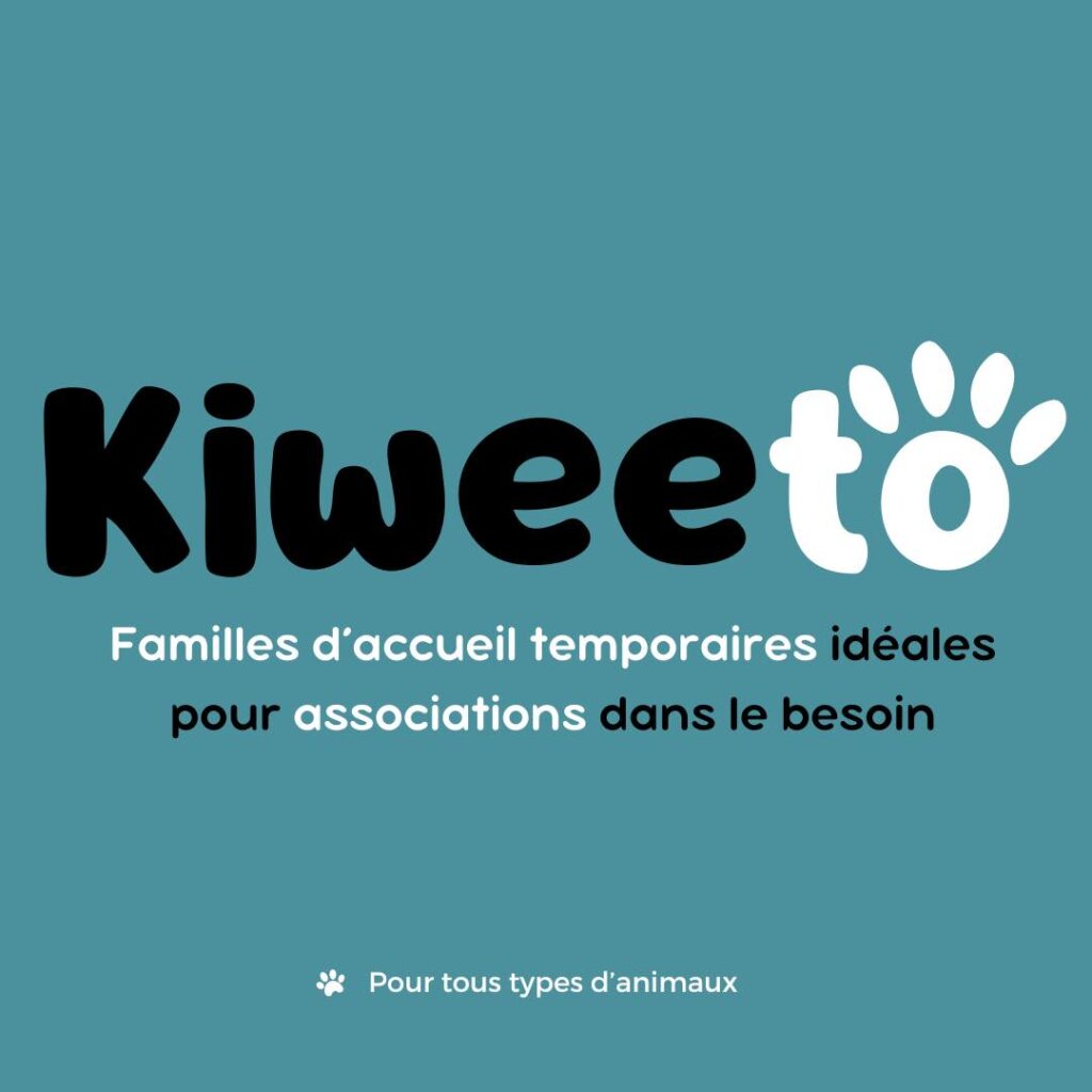 Bannière Kiweeto