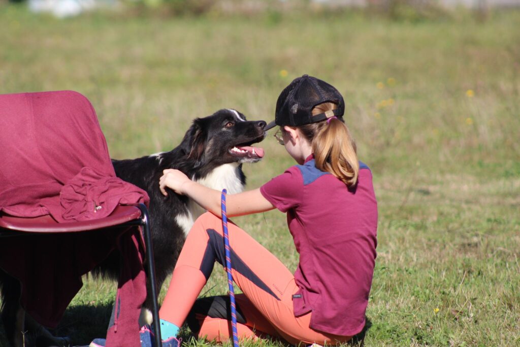 Un chien en pleine éducation