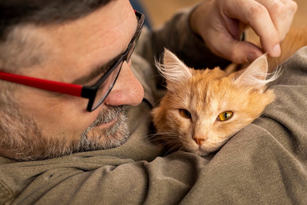 Chat roux dans les bras d'un homme