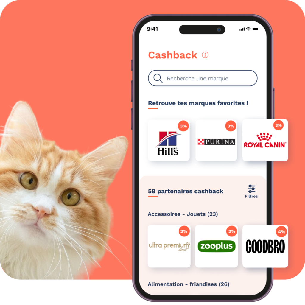 Application avec les marques cashback et un chat