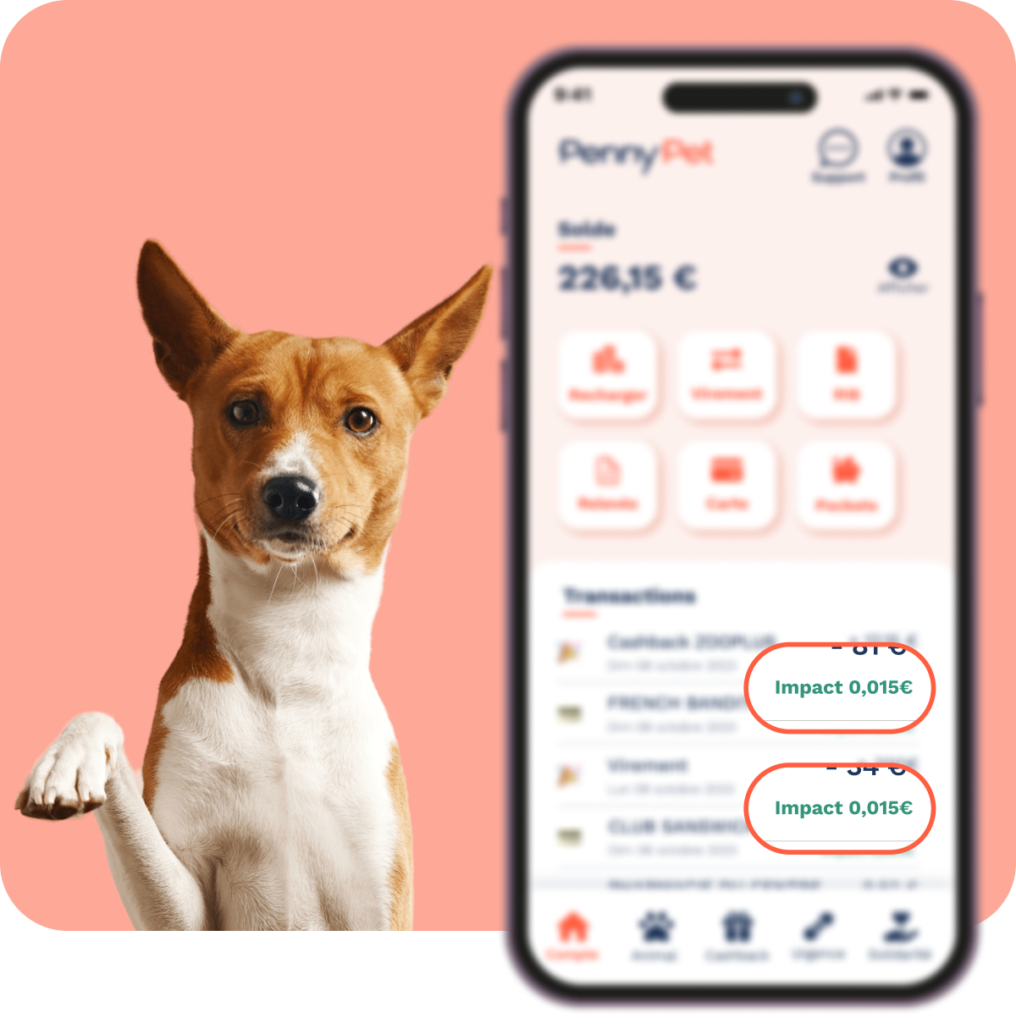 Application avec l'impact à chaque paiement et un chien