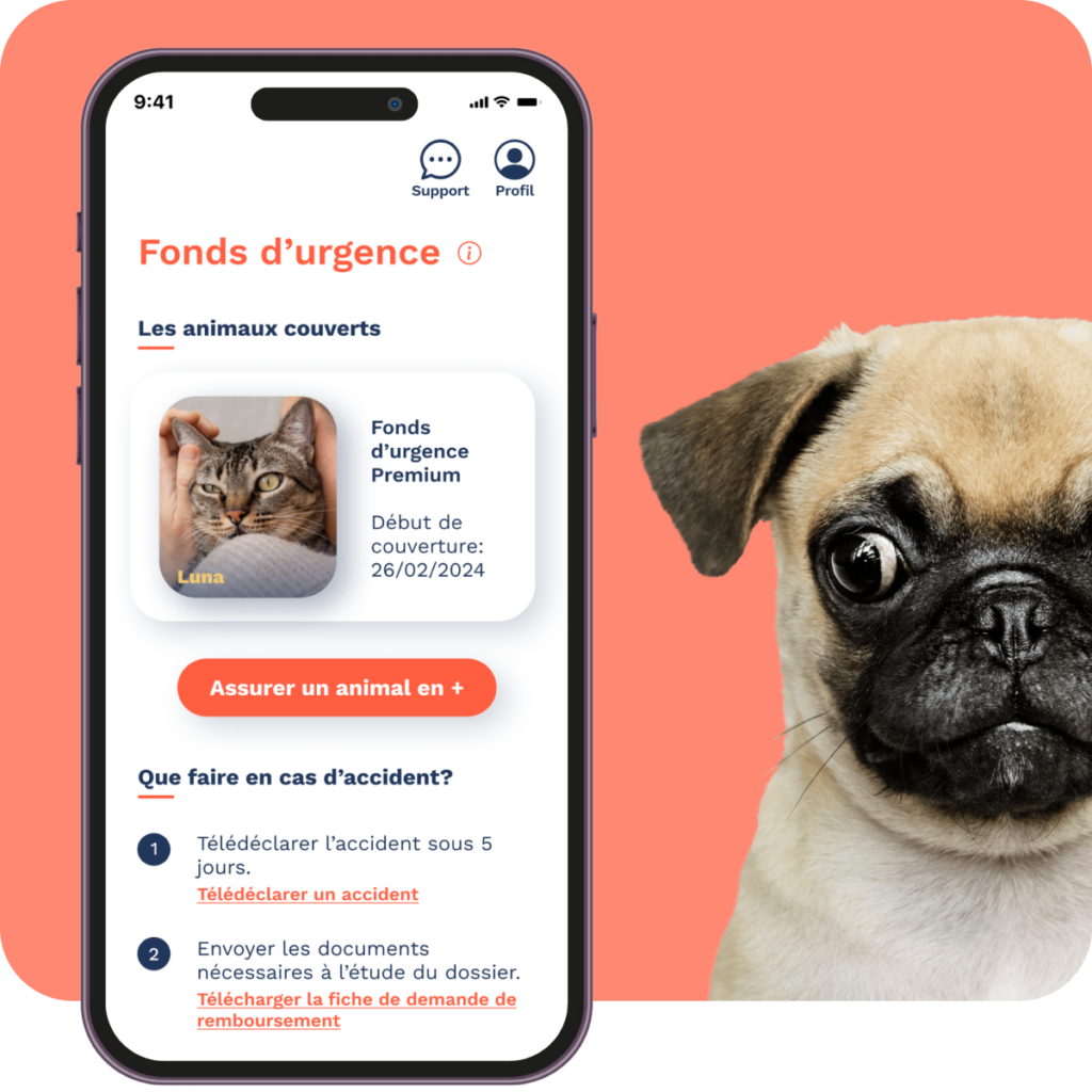 Application avec le fonds d'urgence et un chiot