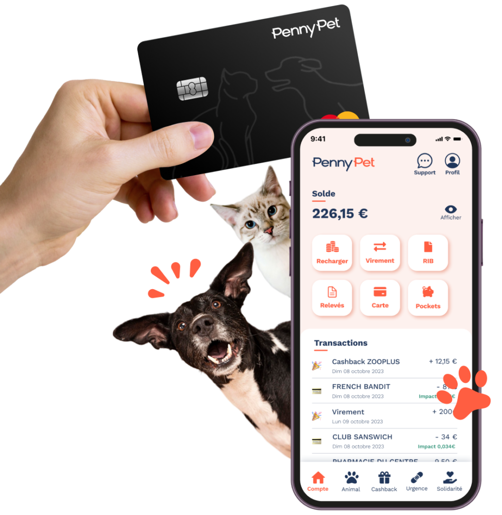 Application et Mastercard PennyPet