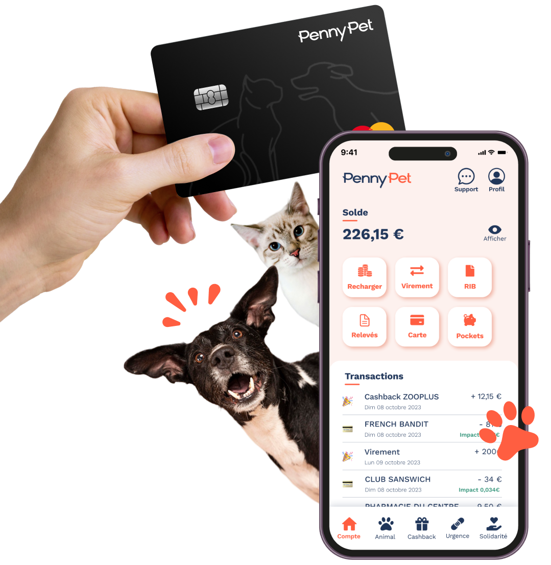 Application et Mastercard PennyPet