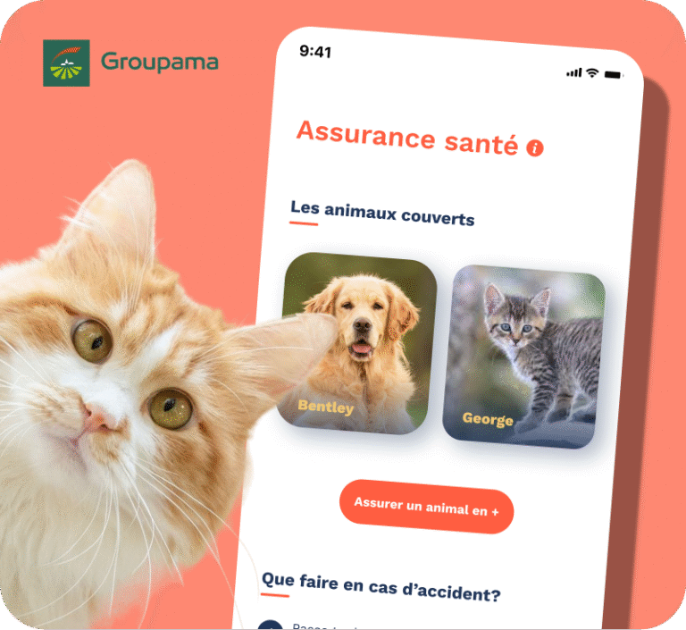 Image avec l'écran de l'assurance animale pennypet sur l'application et un chat roux et le logo groupama