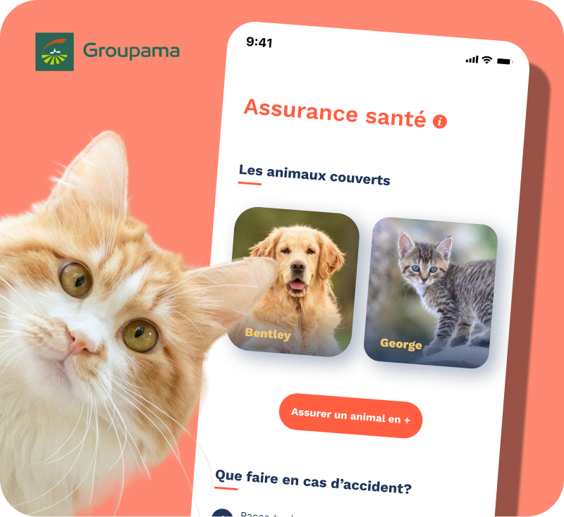 Image avec l'écran de l'assurance animale pennypet sur l'application et un chat roux et le logo groupama