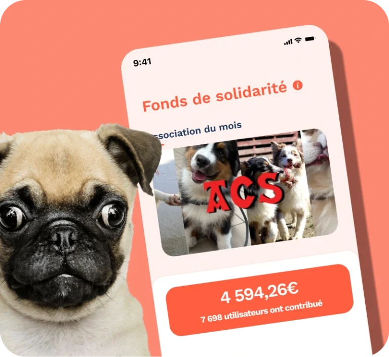 Écran du fonds de solidarité pennypet avec l'association du mois et un chien