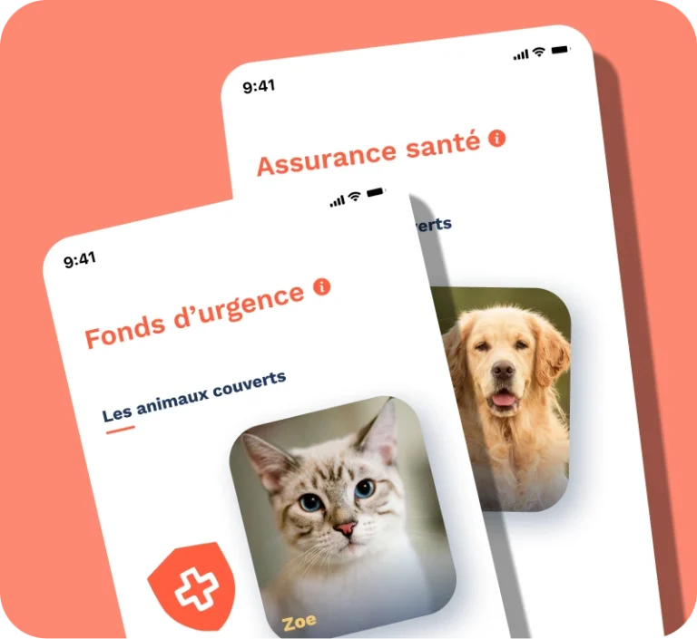 Image avec les écrans fonds d'urgence et assurance santé