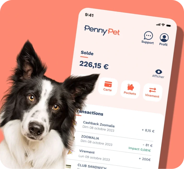 Image avec l'accueil de l'application PennyPet et un chien border collie