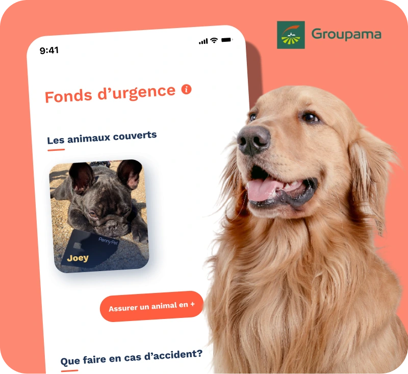 Image de l'écran fonds d'urgence de l'application pennypet et un golden retriever