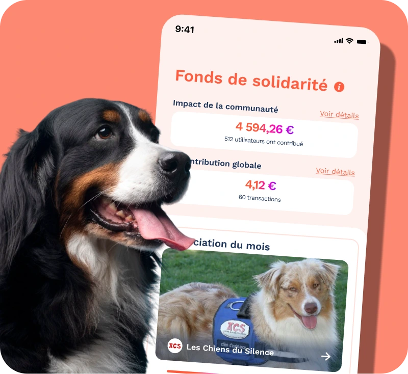 Image de l'écran fonds de solidarité de l'application PennyPet et un bouvier bernois