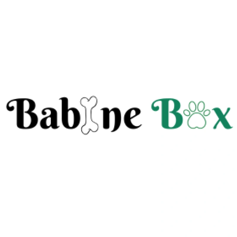 Logo Babine Box