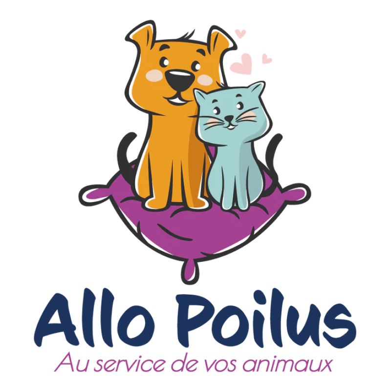 Logo Allo Poilus