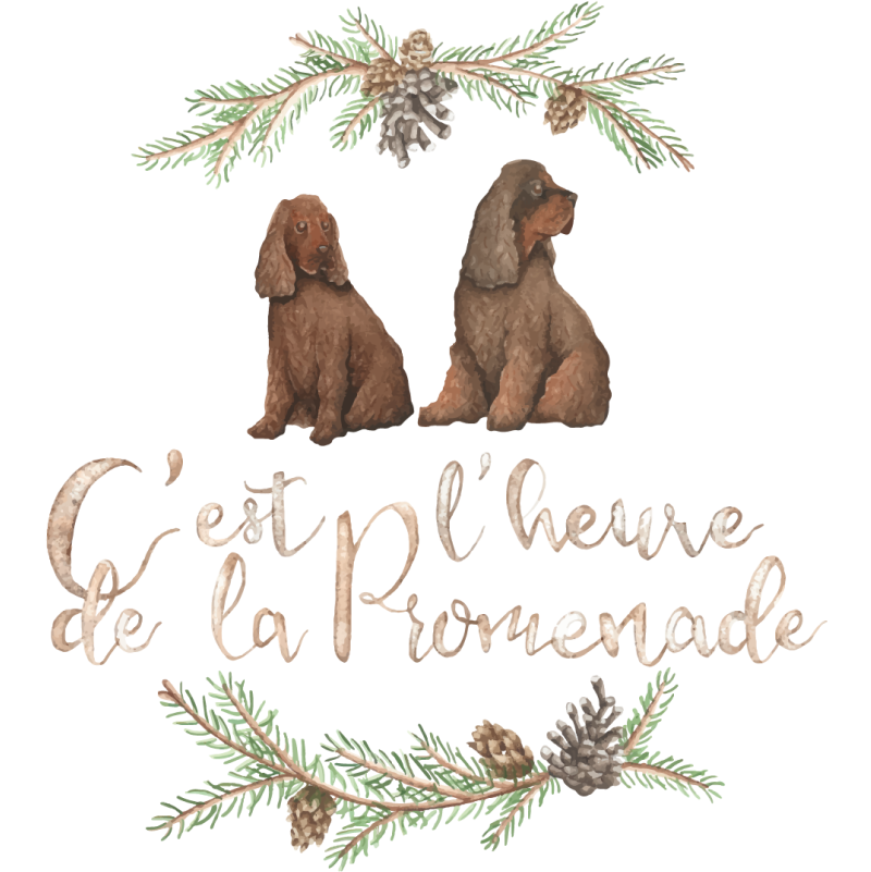 Logo C'est l'heure de la Promenade
