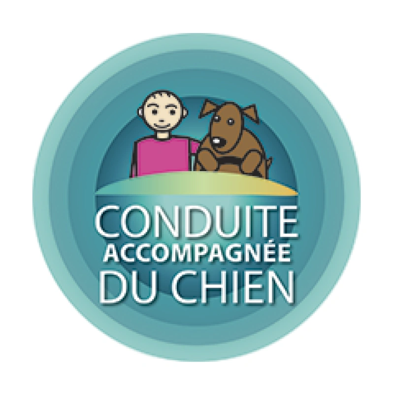 Logo Conduite Accompagnée du Chien