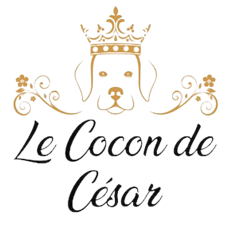 Logo Le Cocon de César