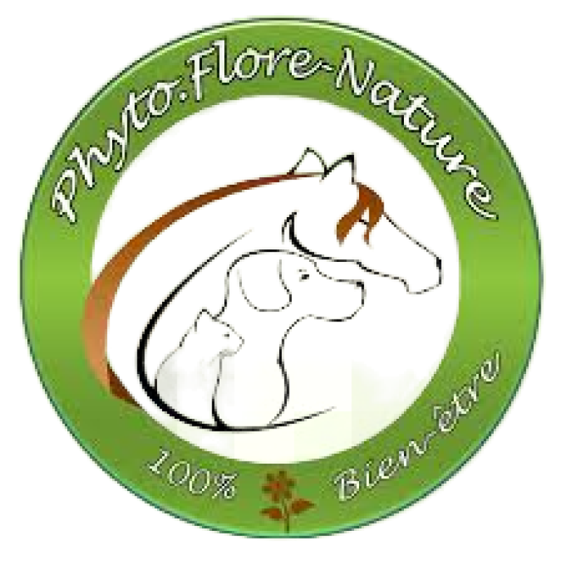 Logo Phyto Flore Nature
