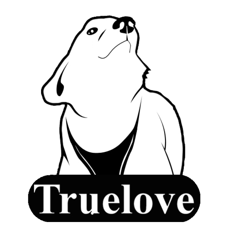 Logo Trueloveshop