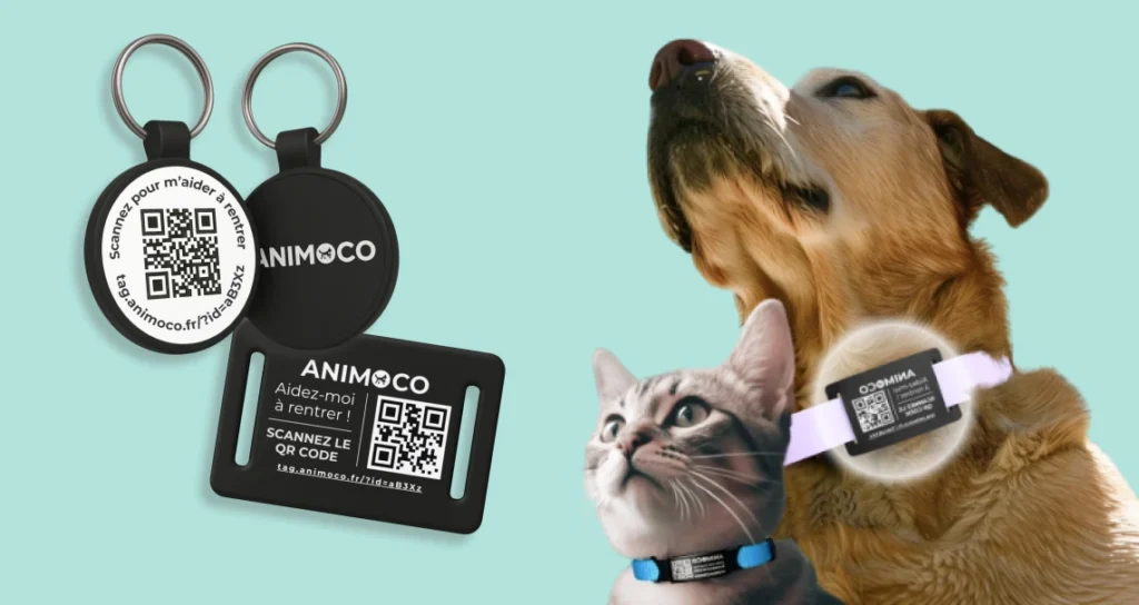 Image avec un chien et un chat et des médailles connectées Animoco