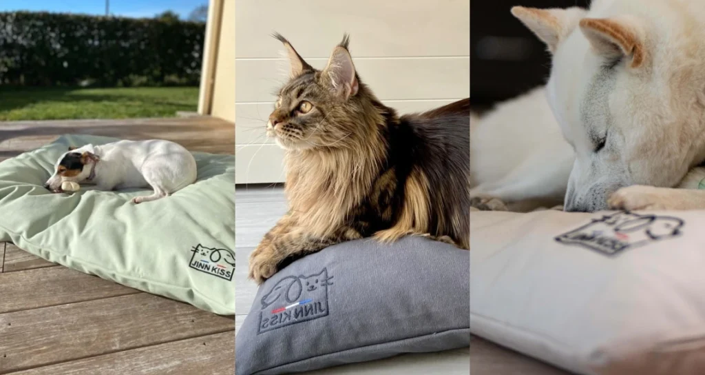 Image de chiens et de chats avec les coussins Jinnkiss