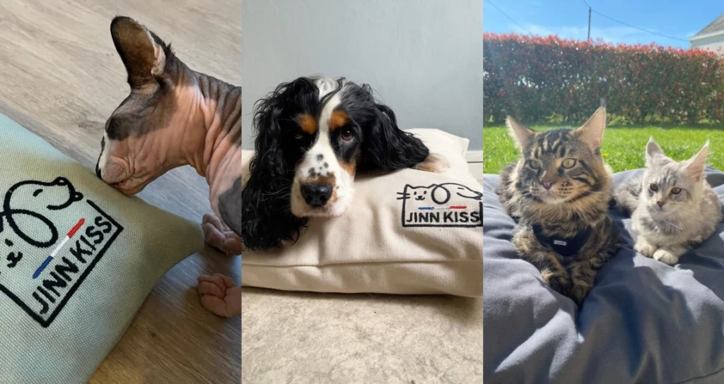 Image de chiens et de chats avec les coussins Jinnkiss