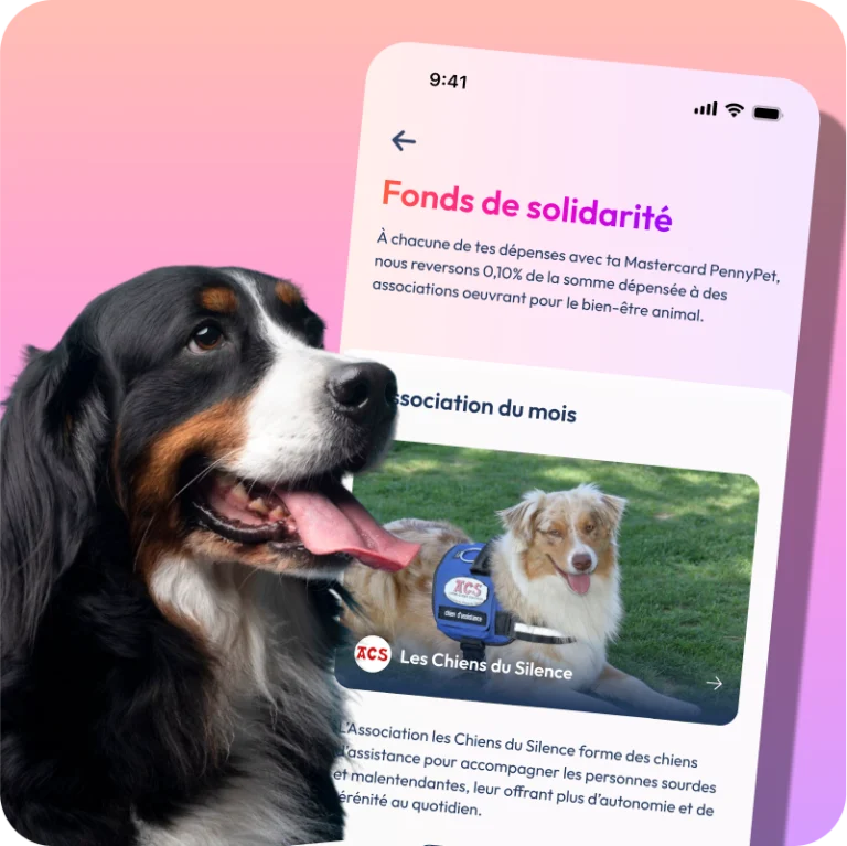 Mockup de l'app PennyPet avec la photo d'une chien bouvier bernois