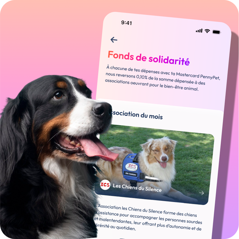 Mockup de l'app PennyPet avec la photo d'une chien bouvier bernois