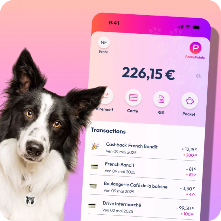 visuel mockup de l'app PennyPet et photo d'un chien