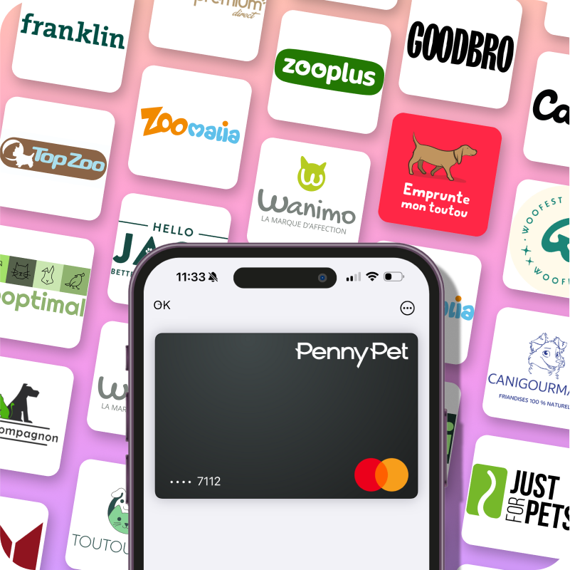Mockup de l'app PennyPet et logo des partenaires cashback