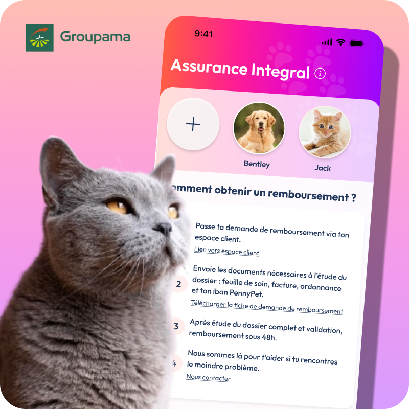 Visuel mockup de l'app Pennypet avec le photo d'un chat gris