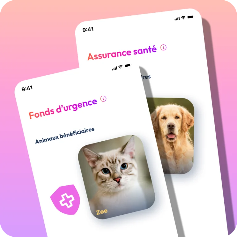 Mockup de l'application PennyPet