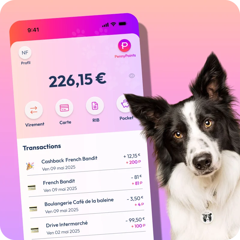 visuel mockup de l'app PennyPet et photo d'un chien