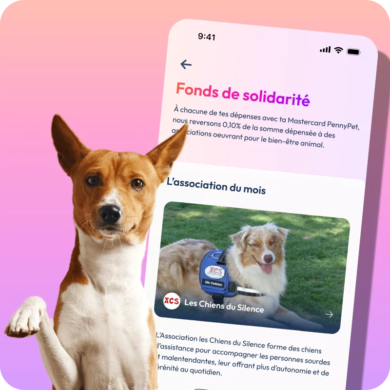 visuel mockup de l'app PennyPet et photo d'un chien